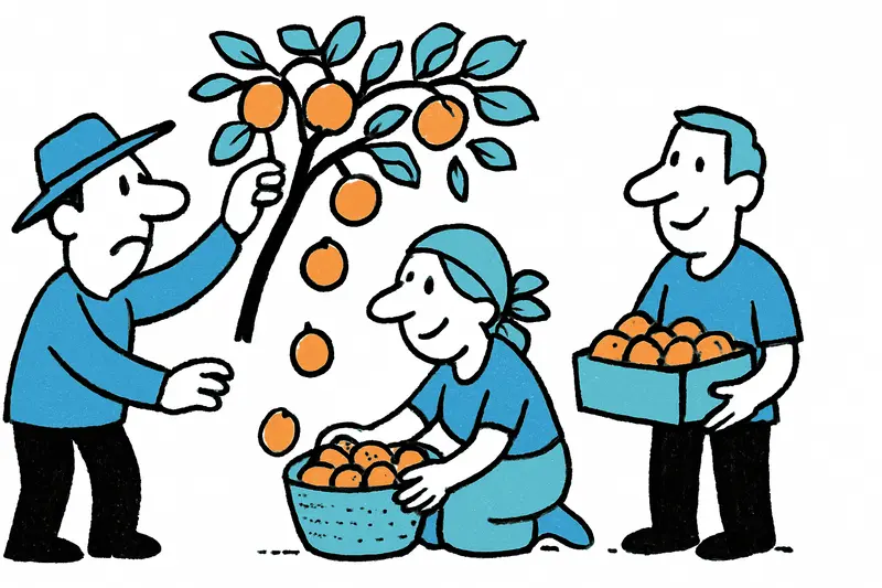 Apricots from Porreres: Harvest Begins About Ten Days Earlier