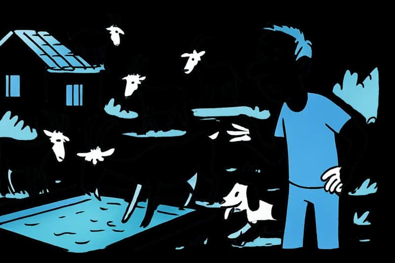 When the Goats Arrive: Estate in Es Capdellà Does Not Do Enough to Defend Itself